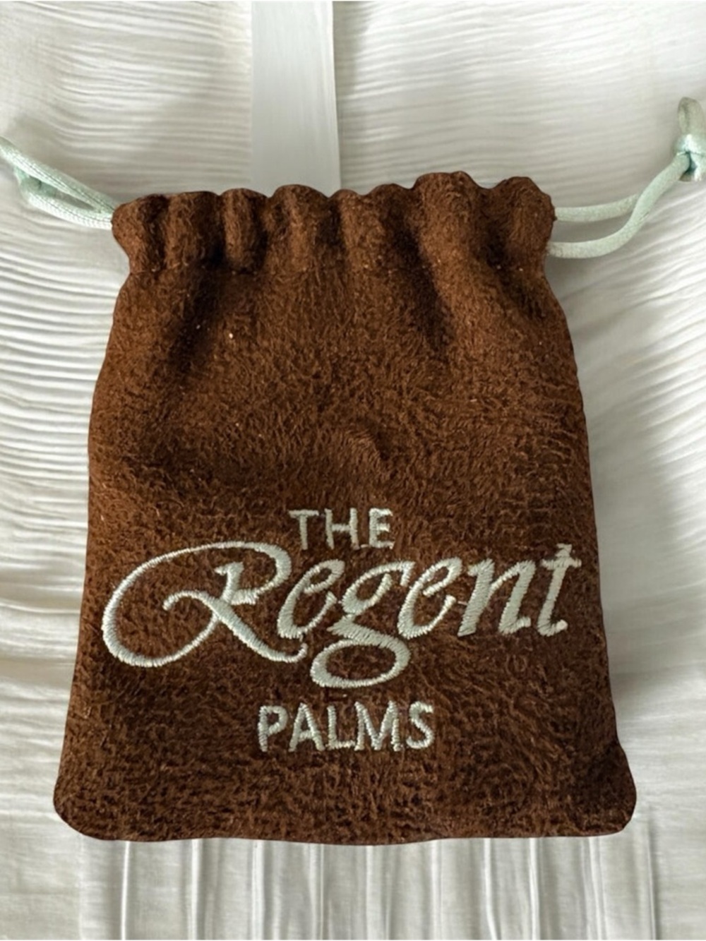 The Regent Palms Brown Velvet Jewelry Pouch